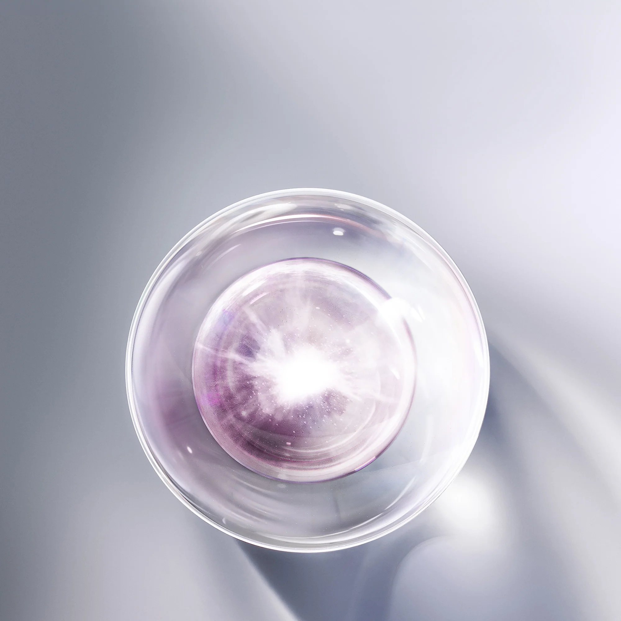 HAUTE-REJUVENATION PROTOCOL - Image 3